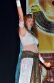 Galashow2010   003